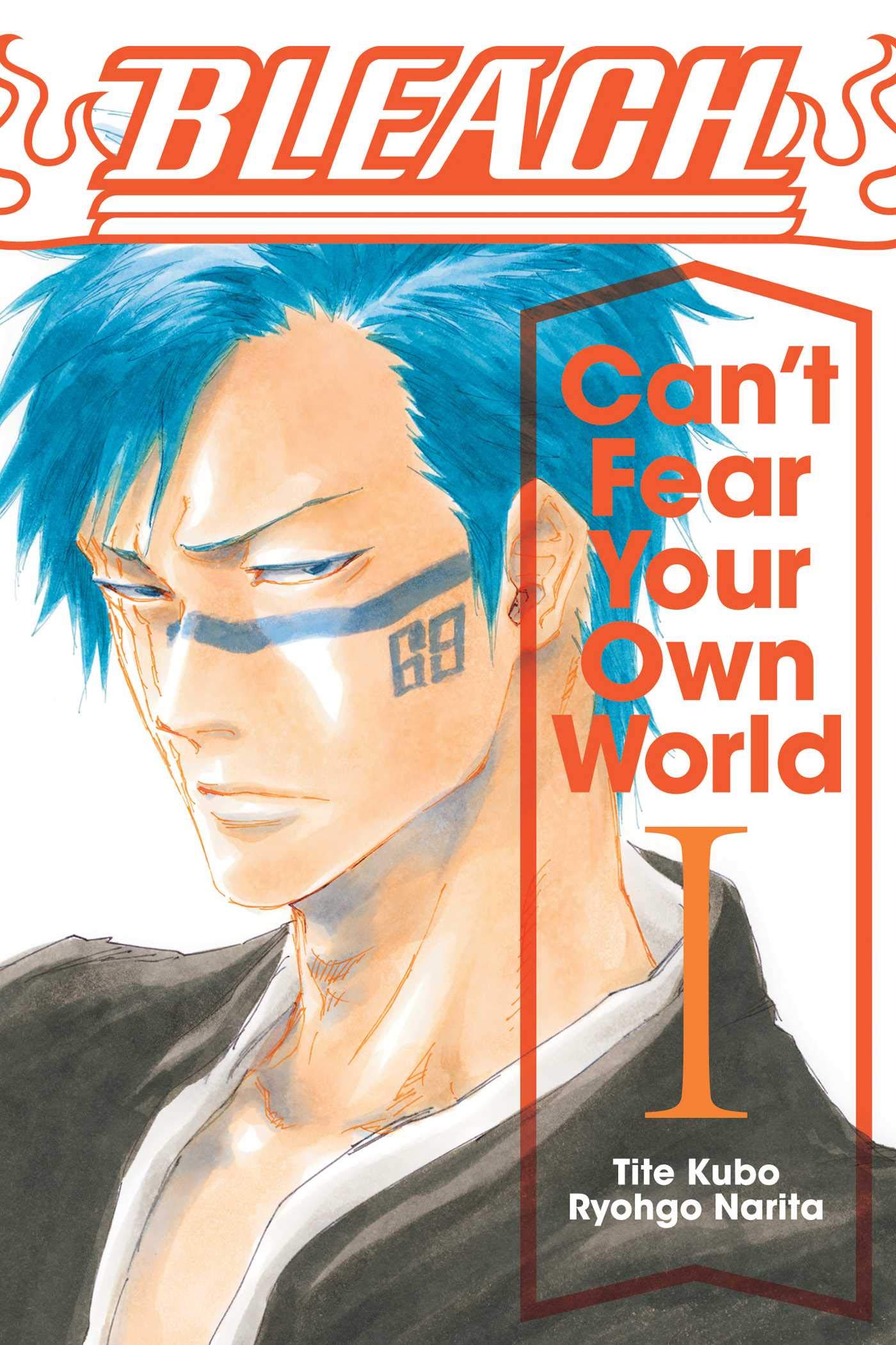 Bleach Can't Fear Your Own World Novel Volume 1