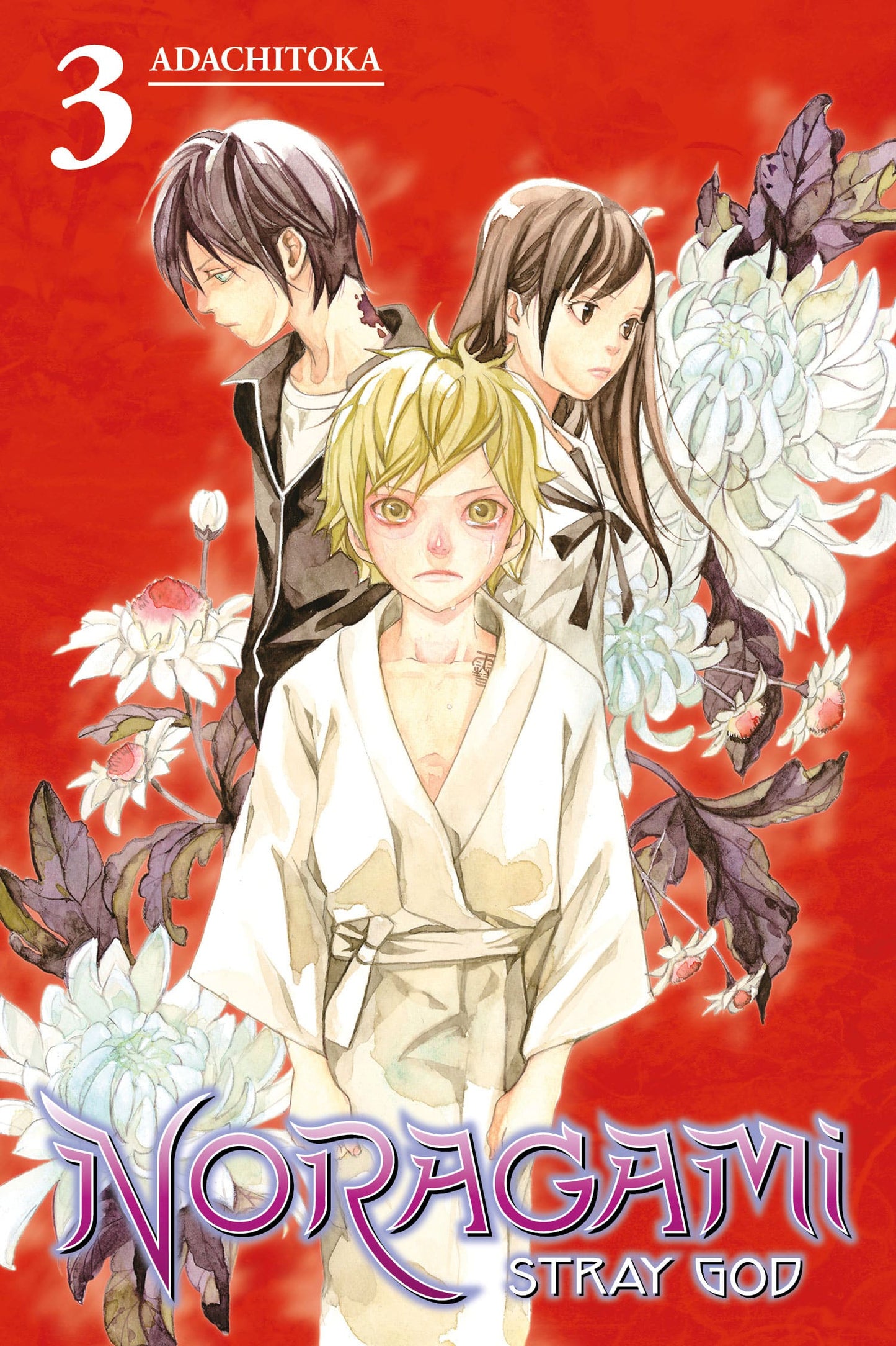 Noragami: Stray God  Manga Volume 3