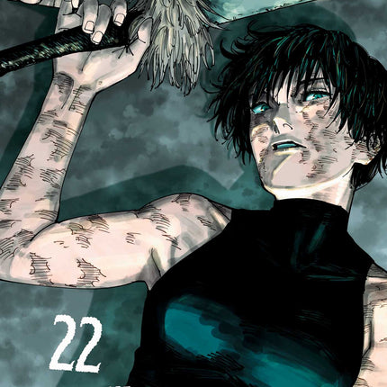Jujutsu Kaisen Manga Volume 22