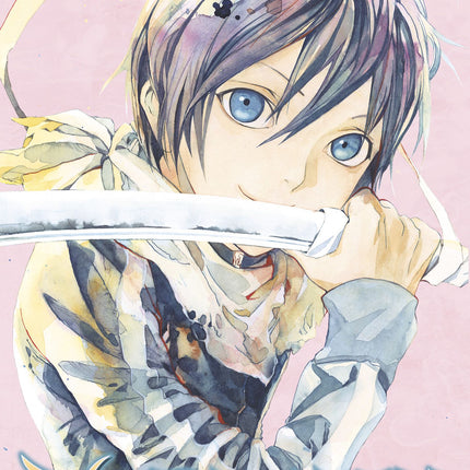 Noragami: Stray God Manga Volume 13
