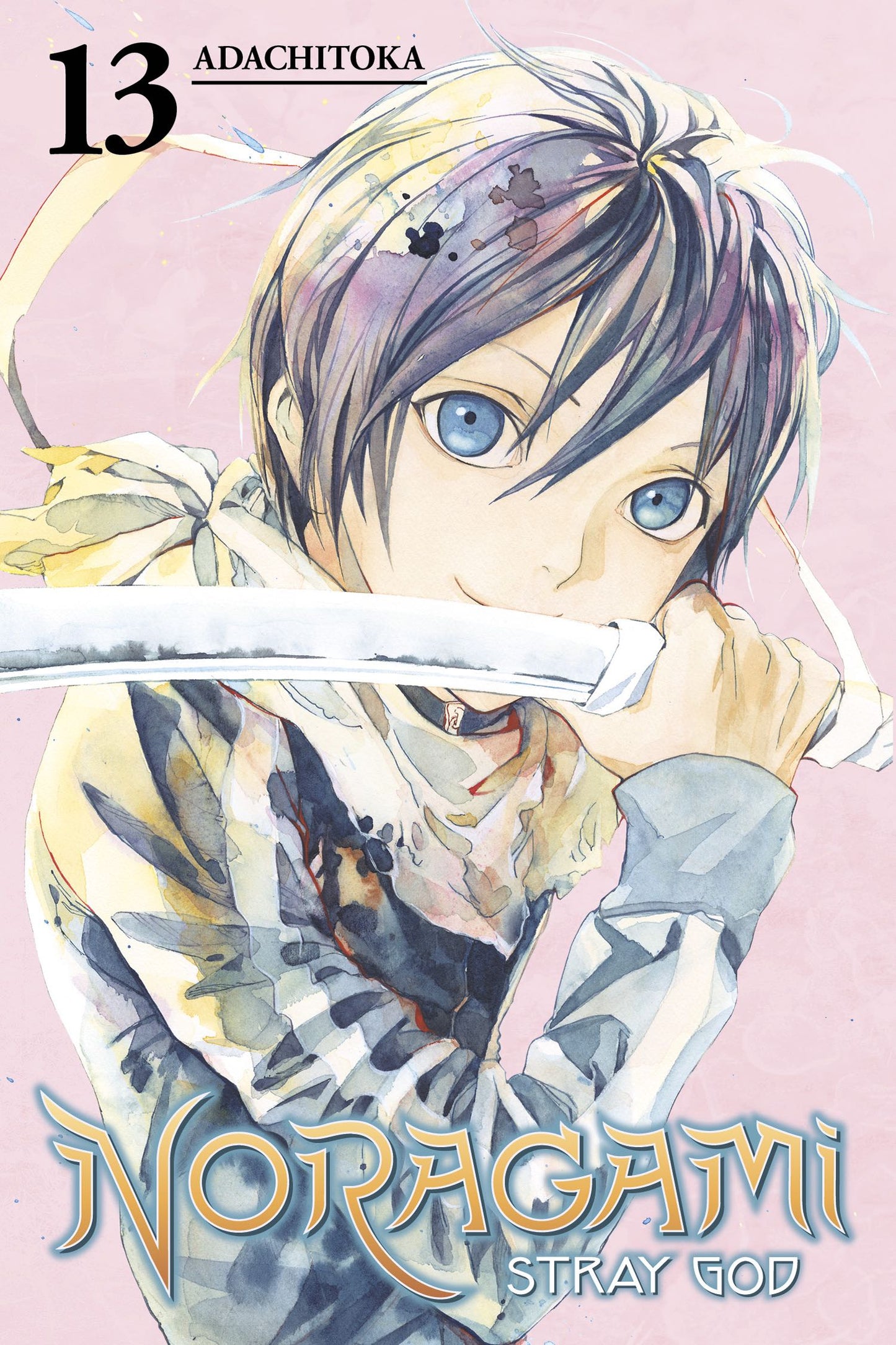 Noragami: Stray God Manga Volume 13