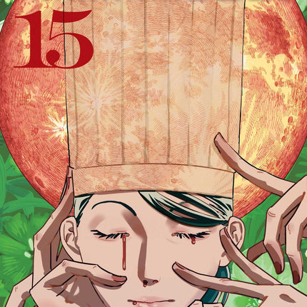 Chainsaw Man Manga Volume 15