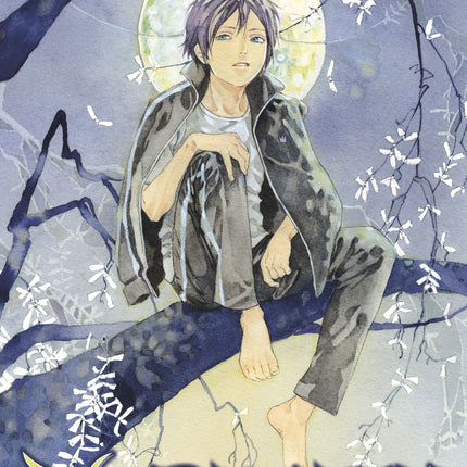 Noragami: Stray God Manga Volume 19