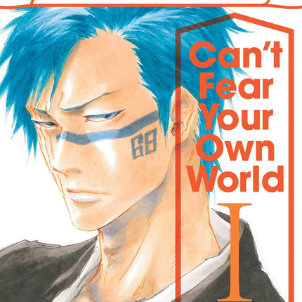Bleach Can't Fear Your Own World Novel Volume 1