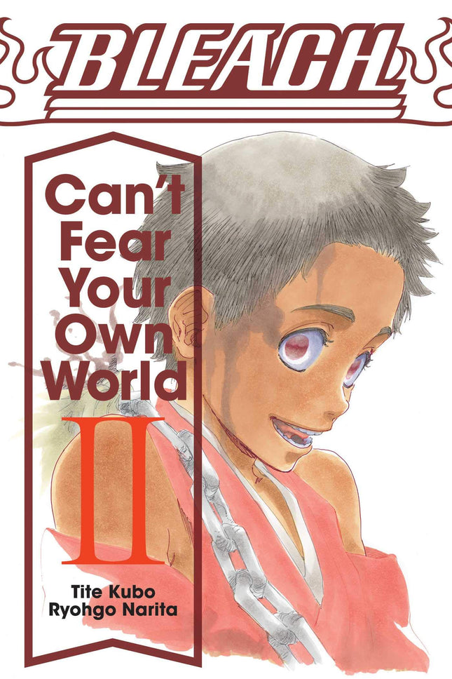 Bleach Can't Fear Your Own World Novel Volume 2