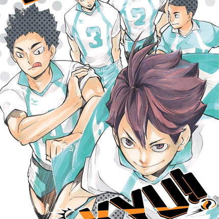Haikyu!!, Vol. 17