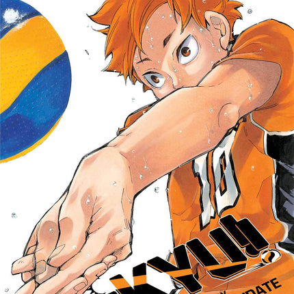 Haikyu!!, Vol. 33