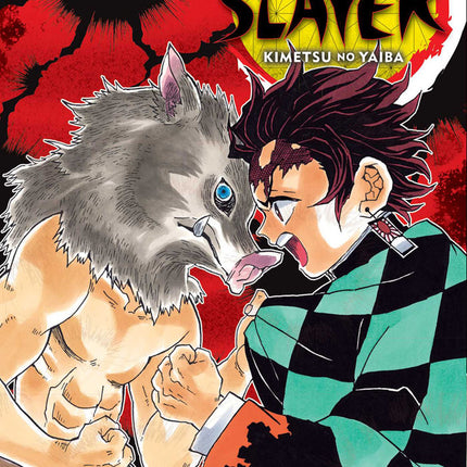 Demon Slayer Kimetsu no Yaiba Manga Volume 4