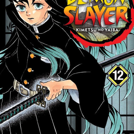Demon Slayer Kimetsu no Yaiba Manga Volume 12
