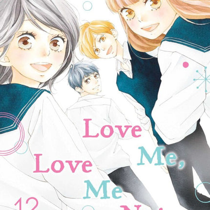 Love Me, Love Me Not Manga Volume 12 Final