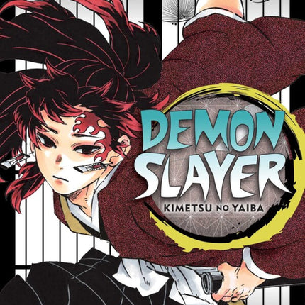 Demon Slayer Kimetsu no Yaiba Manga Volume 20