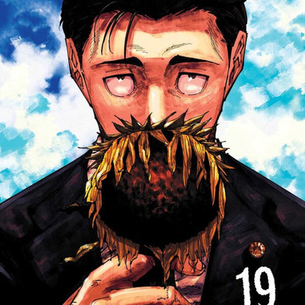 Jujutsu Kaisen Manga Volume 19