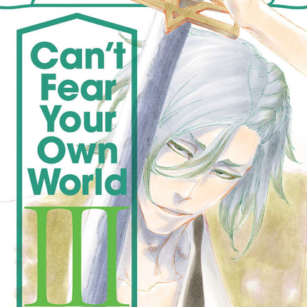 Bleach Can't Fear Your Own World Novel Volume 3